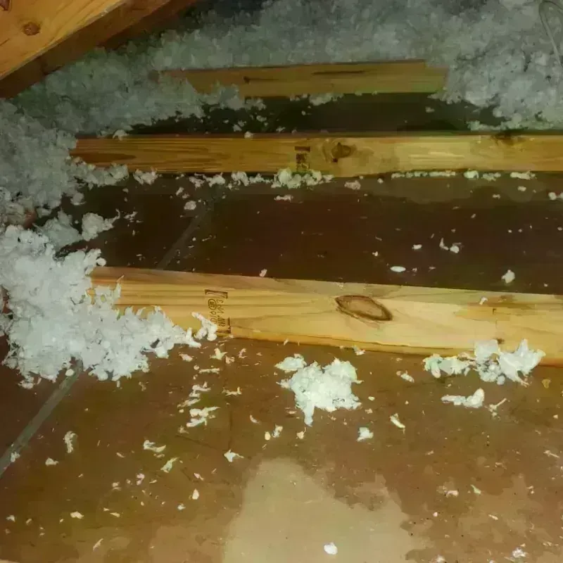 Attic Water Damage in Starkville, MS